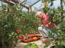 Hozelock 2810 Growbag Waterer -GardenWater Pro Sales HOZ2810 INUSE2