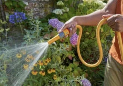 Hozelock 100-100-243 Expandable Hose Wonderhoze 12.5 M -GardenWater Pro Sales hozelock 100 100 243 expandable hose wonderhoze 12.5 m 5010646064217 ftb12844 25575.1683404734