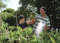 Hozelock 2684 Multi Spray Plus Gun And 2185 Waterstop -GardenWater Pro Sales hozelock 2684 multi spray plus gun and 2185 waterstop 5010646037600 ftb6029 07760.1600066207