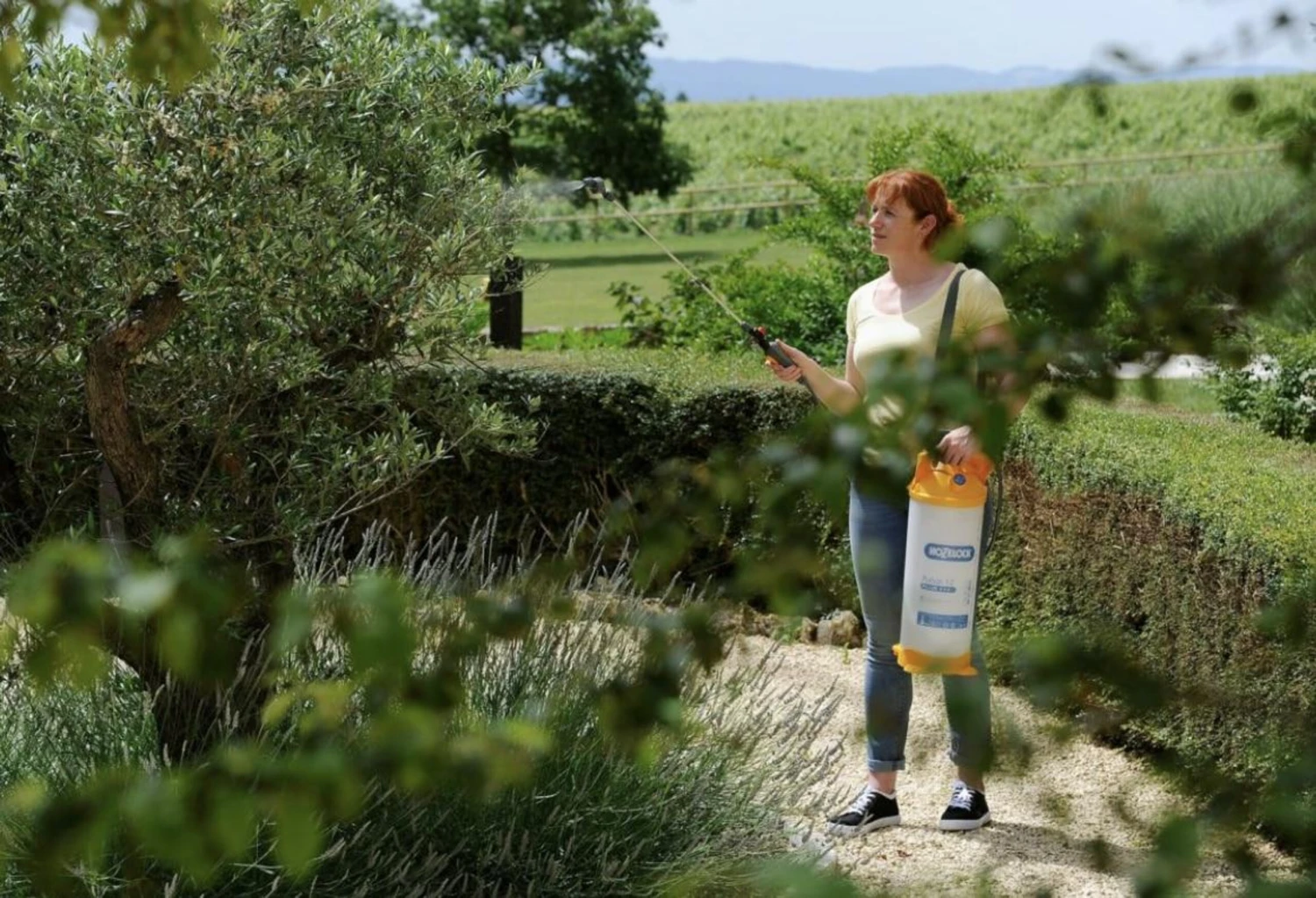 Hozelock 4311 Pulsar Plus 7L Sprayer 2 Hozelock 4311 Pulsar Plus 7L Sprayer - Image 2