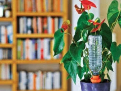 HOZELOCK AQUASOLO 3 + 1 SET MEDIUM (GREEN) FOR POTS Ø30 - 40CM 2717 Pack Of 4 Ideal For Holiday Watering Indoor And Outdoor -GardenWater Pro Sales hozelock aquasolo 2717 8000 40cm pot pack of 4 ideal for holiday watering indoor and outdoor ftb6015 58604.1600066465