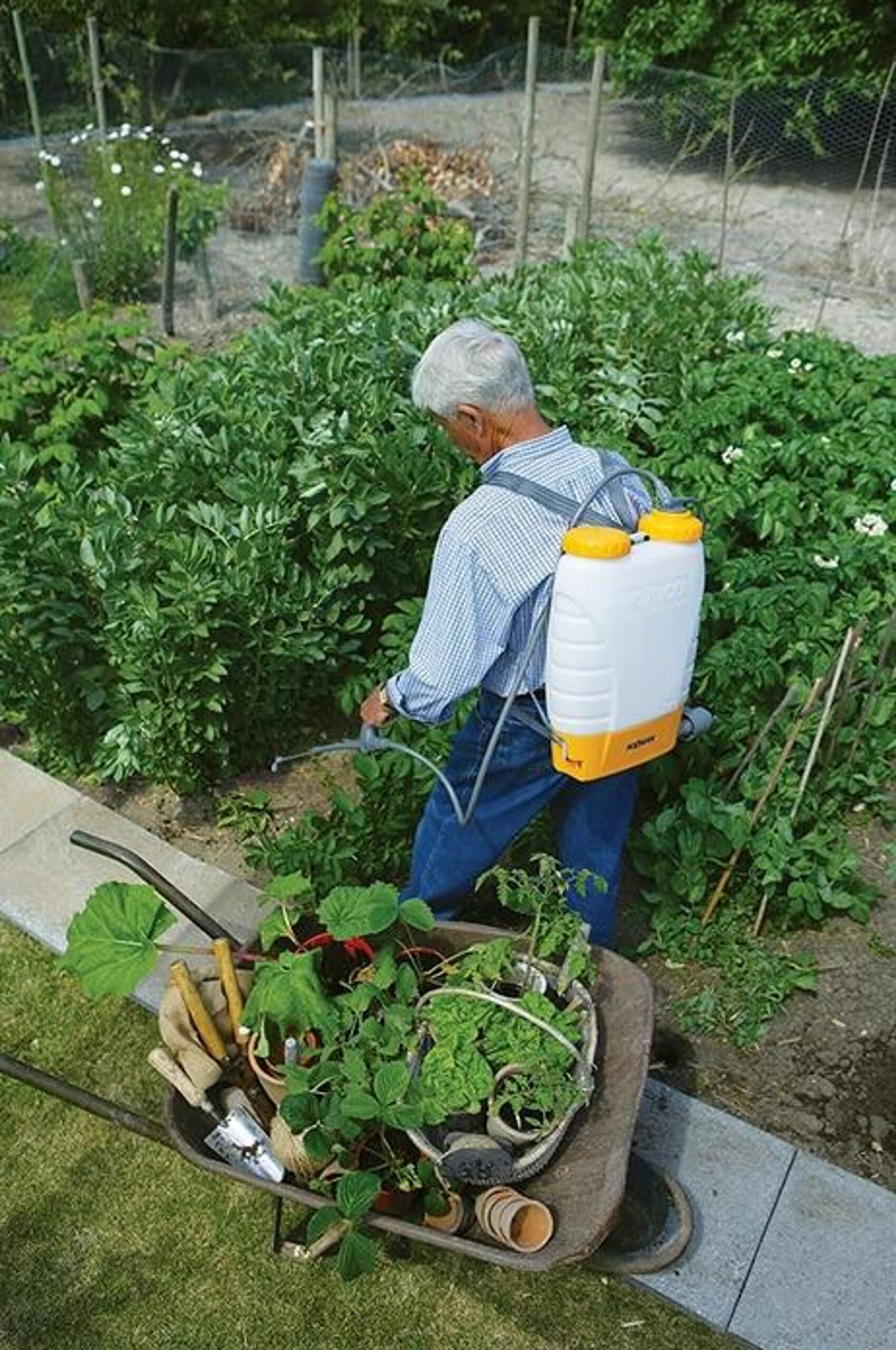 Hozelock Pulsar Comfort 12L Knapsack Pressure Sprayer Plus 4712 2 Hozelock Pulsar Comfort 12L Knapsack Pressure Sprayer Plus 4712 - Image 2