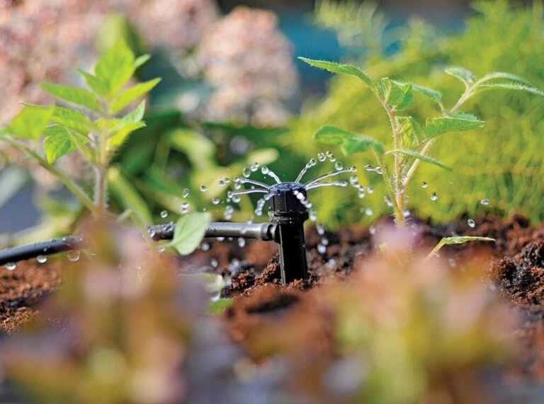 GardenWater Pro Sales -GardenWater Pro Sales 445766 20230104173912 1024 768x571 1