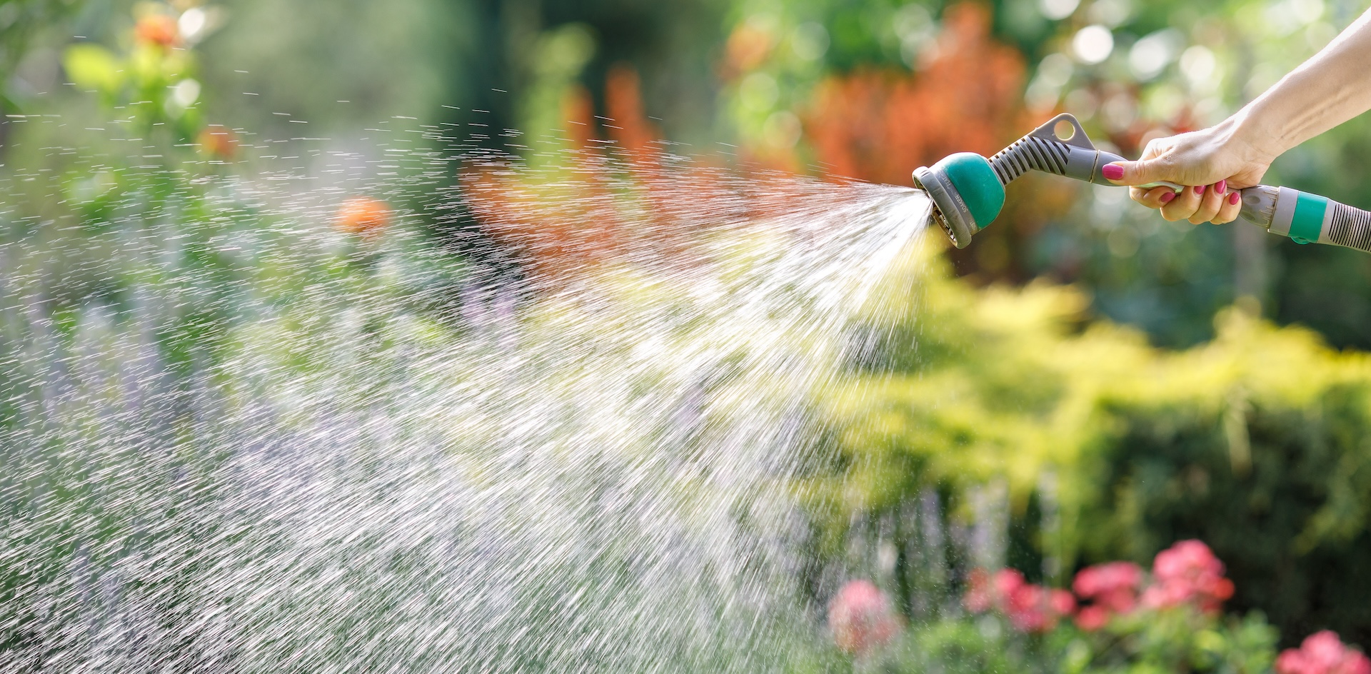 GardenWater Pro Sales -GardenWater Pro Sales header shutterstock 1111773254 2